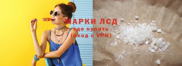 индика Михайловск