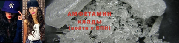 индика Михайловск