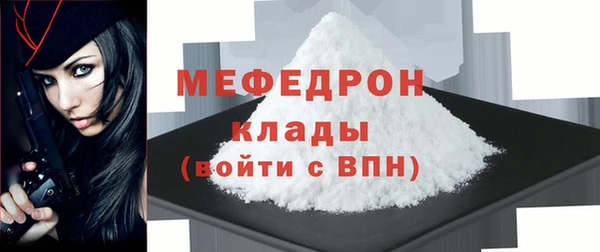 индика Михайловск